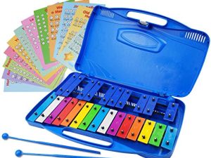 Xylophone 25 Note Colorful Chromatic Glockenspiel in Case Clear Tuned Metal Keys - Card Set w Songs