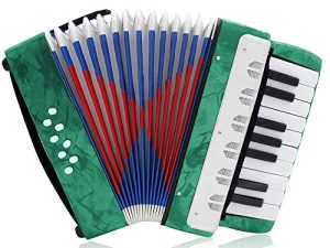 Professional Accordian for Kids Children