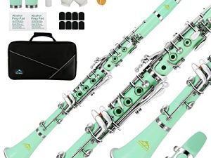 EASTROCK Clarinet Bb Flat 17 Nickel Keys Green Beginner Clarinet for Student with 2 Barrels Hard Clarinet Cas and Clarinet Cleaning Kit.