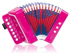 Button Accordion