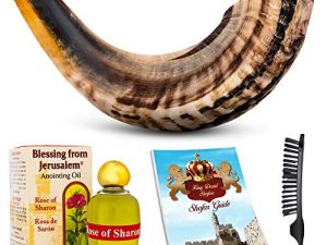Shofar Horn Instrument – RAM Shofar Angels Musical Instrument – Horn Gift from Israel – Kosher Jewish and Evangelical Shofar – Traditional Holy Instrument for Religious Ceremonies (10-12)
