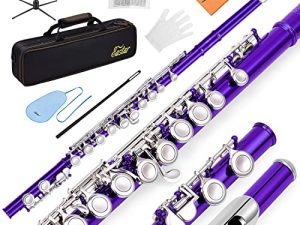 Eastar C Flutes Closed Hole 16 Keys Flute for Beginner Kids Student Flute Instrument with Fingering Chart