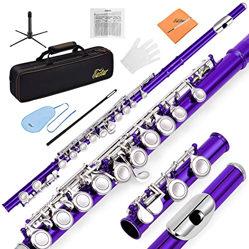 Eastar C Flutes Closed Hole 16 Keys Flute for Beginner Kids Student Flute Instrument with Fingering Chart Eastar C Flutes Closed Hole 16 Keys Flute for Beginner Kids Student Flute Instrument with Fingering Chart