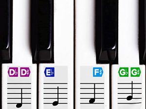 Color Piano Stickers for Keys – Removable w/Double Layer Coating for 49/61 / 76/88 Keyboards