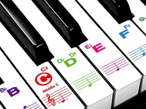Piano Stickers for Beginners 88/76/61/54/49/37 Keys - Transparent