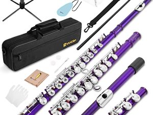 Vangoa Closed Hole C Flute for Beginners Kids Student 16 Keys Flute Instrument Nickel Plated Flute with Case