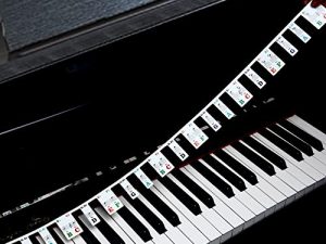 Keyboard Stickers for Piano 88 Keys