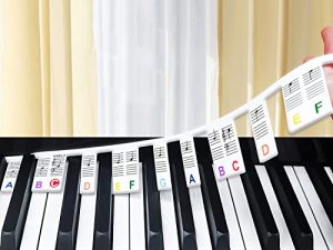 AOYNG Piano Keyboard Note Labels [With storage box] Removable Piano Notes Guide for Beginner for Learning