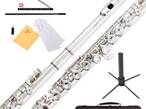 Mendini By Cecilio Flutes - Closed Hole C Flute For Beginners