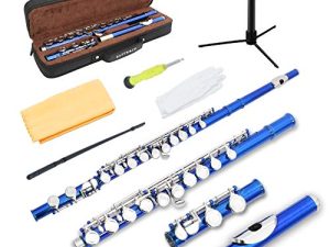 EASTROCK Closed Hole Flutes C 16 Key for Beginner
