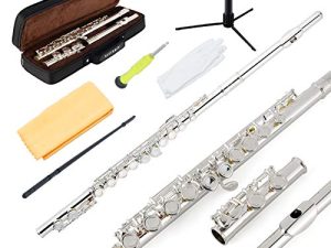 EASTROCK Closed Hole Flutes C 16 Key for Beginner