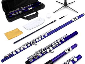 SLADE Closed Hole C Flutes - Musical Instrument Beginner Student Flute with Flute Case
