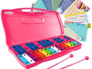 Costzon 25-Note Xylophone w/Case