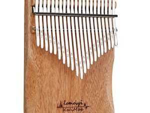 Kalimba Thumb Piano 21 Key Finger Piano Musical Instrument with Study Instruction and Tune Hammer