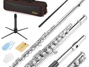 Eastar C Flutes Closed Hole 16 Keys Flute for Beginner Kids Student Flute Instrument with Cleaning Kit